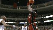 cleveland cavaliers chicaco bulls GIF by NBA