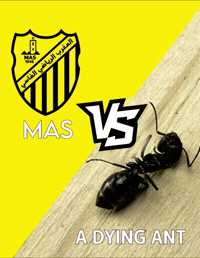 Maghreb De Fes Mas GIF