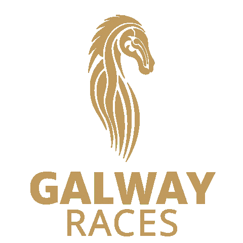 Horseracing Sticker by Galway Races