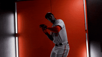 Excited Major League Baseball GIF by Baltimore Orioles