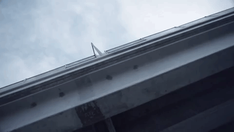 GIF by David