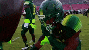 Usf Football GIF by SoFloBulls