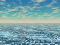 park dolphin GIF