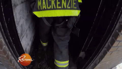 firefighter GIF by Rachael Ray Show