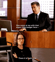 30 Rock Badger Face GIF