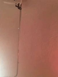 framebeta GIF