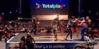 GIF by Lucha Libre AAA