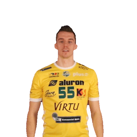 2-3 Virtu Sticker by Aluron CMC Warta Zawiercie