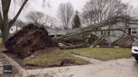 Daylight Reveals Damage Caused by Tornadic Storm