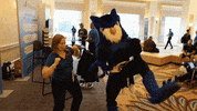 ConnectWise dance party connectwise connect wise blue owl GIF