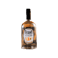 TesicRakija party rakija tesic Sticker