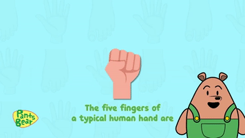 Finger Names in English | Fingers and Toes | Educational Video | Pants Bear Kids | Cartoons