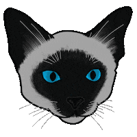 Blue Eyes Cat Sticker by Jasi