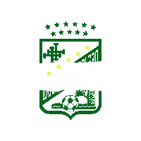 Santa Cruz Futbol Sticker by Oriente Petrolero