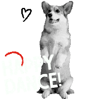 Happy Love It Sticker by Stella and Chewy's