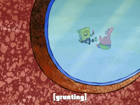 season 8 bubble troubles GIF by SpongeBob SquarePants
