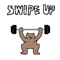 fartynrabbie gym swipe up bear bunny Sticker
