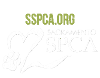 Sspca Sticker by Sacramento SPCA