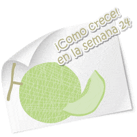 Baby Mama Sticker by SilfaCL