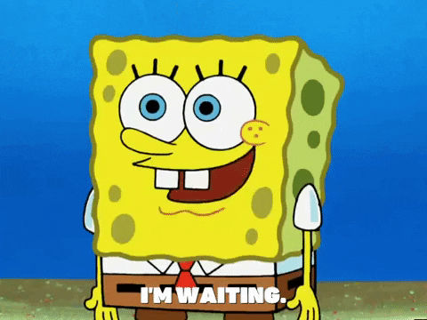 season 5 episode 3 GIF by SpongeBob SquarePants