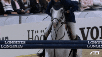 FEI_Global sport wow jump up GIF