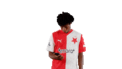 Football Soccer Sticker by SK Slavia Praha