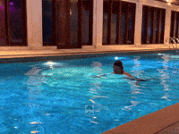 Prabowo GIF