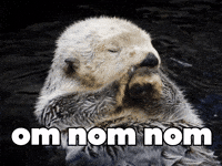 Hungry Feed Me GIF by Sealed With A GIF