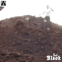 Flying Best Movie GIF by Arrow Video