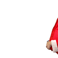 Santa Sticker by nikhopfen