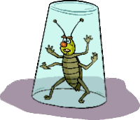 Trap Bug Sticker