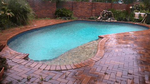 tidal pool GIF