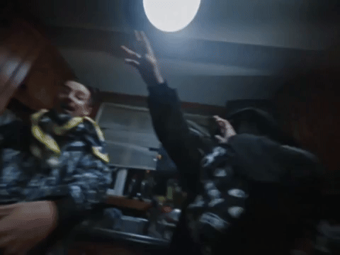 Timothee Chalamet Tchalamet GIF by Respective