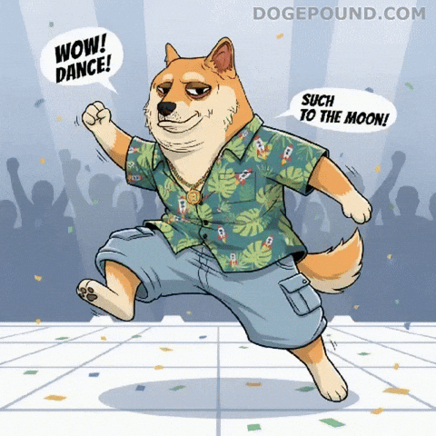 Happy Lets Go GIF by Doge Pound