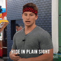 big brother bb20 GIF by Big Brother After Dark
