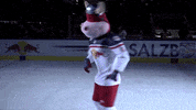 Rob Ice Hockey GIF by EC Red Bull Salzburg