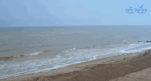 kirillovka 29 marta GIF