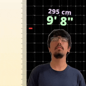 9' 8"