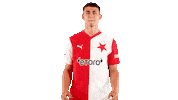 Football Soccer Sticker by SK Slavia Praha