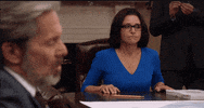 season 5 veep good idea selina meyer julia louis dreyfus GIF