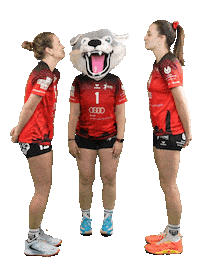 Volleyball Svf Sticker by Rotes Rudel