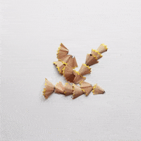 bird flying GIF by cintascotch