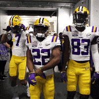 College Football GIF by LSU Tigers