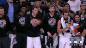 Nba Playoffs Sport GIF by NBA
