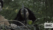 The Walking Dead Zombie GIF by AMC Latinoamérica