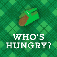 NutrenaFeed hungry horse feed nutrena whos hungry GIF