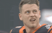 Regular Season Ugh GIF by NFL