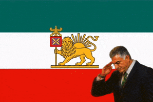 King Freedom GIF