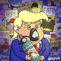 Crypto Trump GIF by fatbot