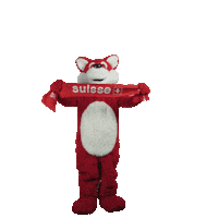Celebration Win Sticker by UBS Schweiz